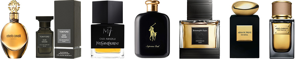 agarwood-fragrances