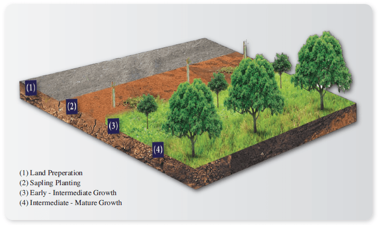plantation_management